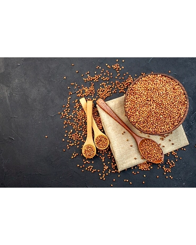 SORGHUM-1