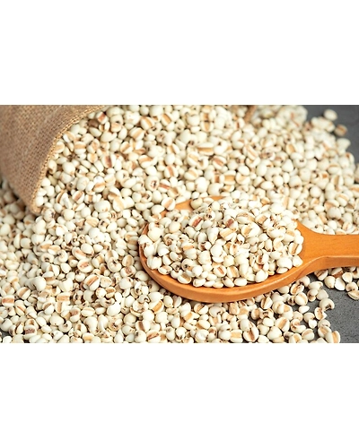 SOYA BEAN-1