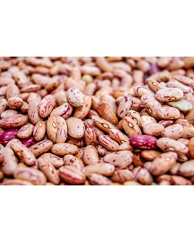 SOYA BEAN-2