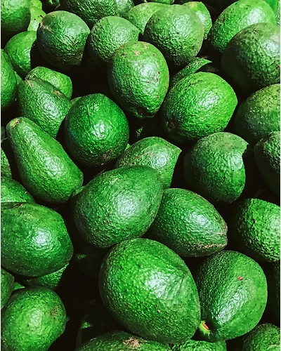 AVOCADOS-1