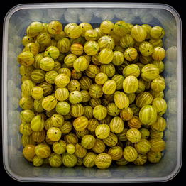 gooseberries