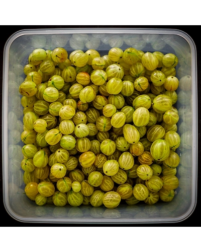 GOOSEBERRIES-12337904