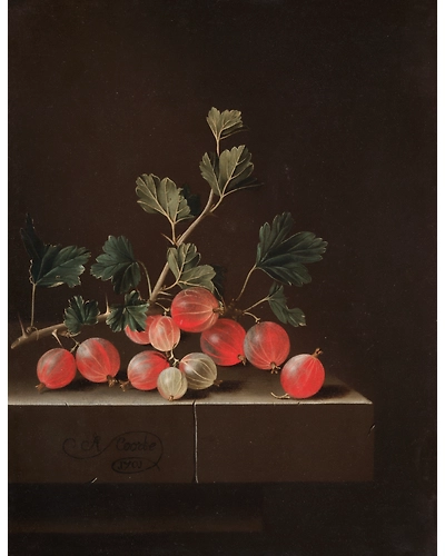 GOOSEBERRIES-1