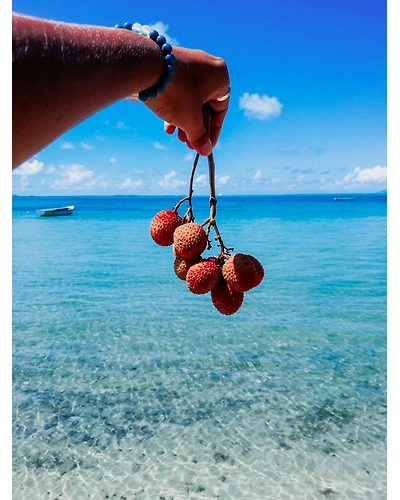 LITCHI-3