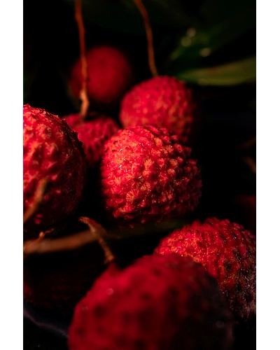 LITCHI-1