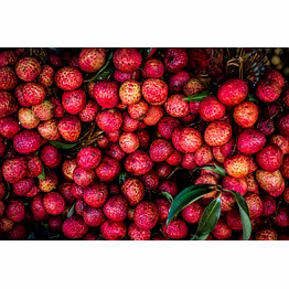litchi