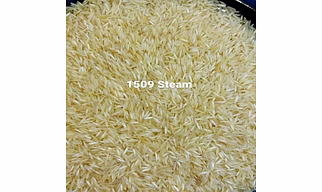 1509 Steam Basmati Rice