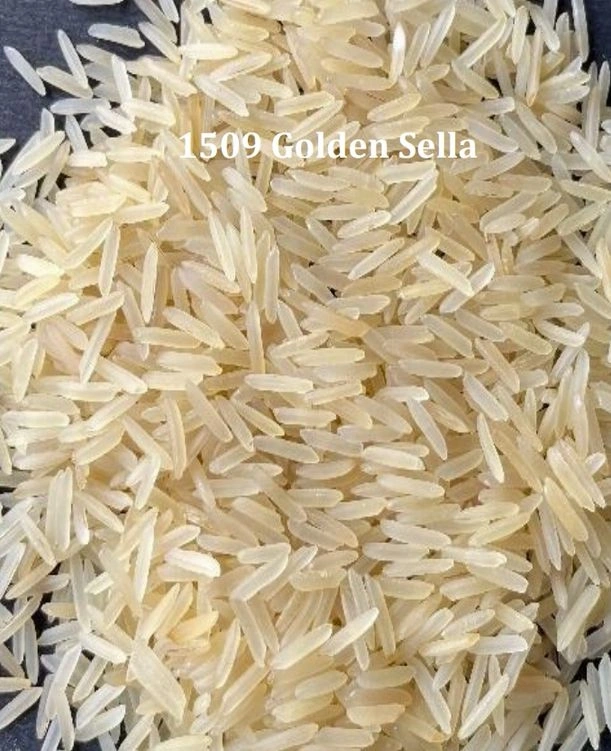 1509 Golden Sella Basmati Rice-Anan1006