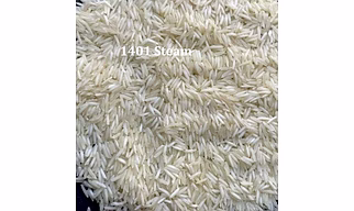 1401 Steam Basmati Rice