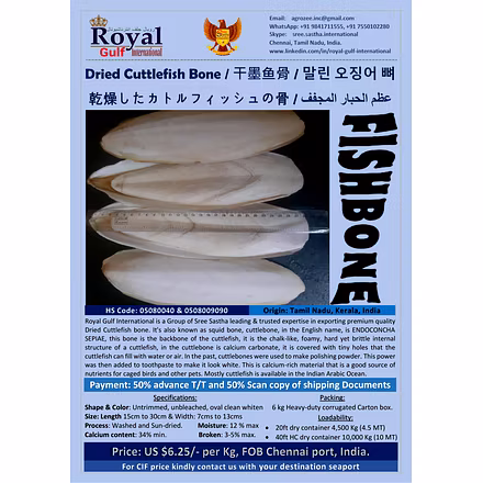 Cuttlefish Bone-5