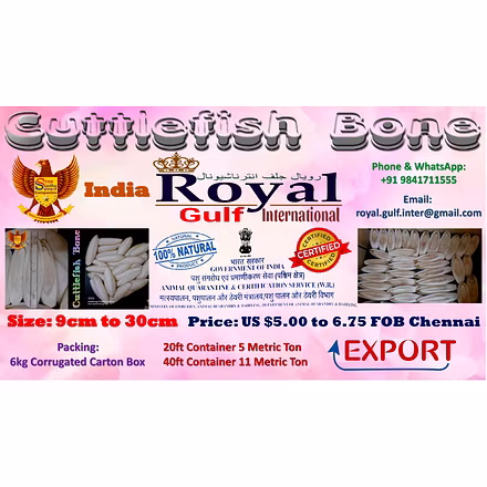 Cuttlefish Bone-8
