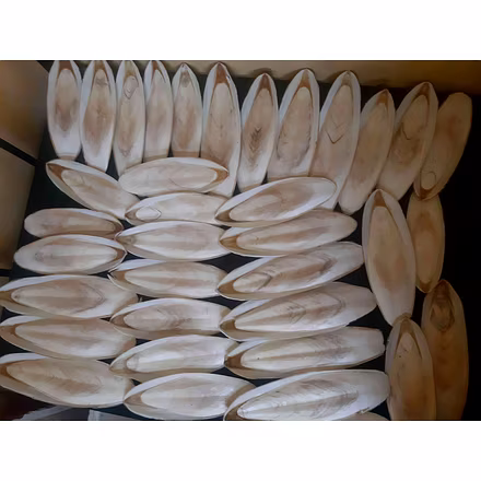 Cuttlefish Bone-4