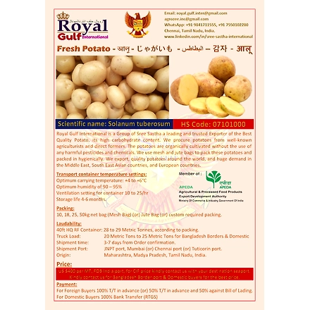Fresh Potato-500000