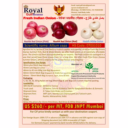 Onion-12138870
