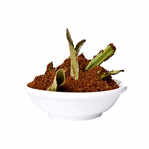 Roasted Curry Powder - 50g (Eco packing - Home Made)