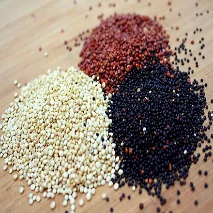 Quinoa seeds( Black, Red, and White)-12139492