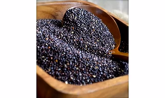 Quinoa seeds( Black, Red, and White)