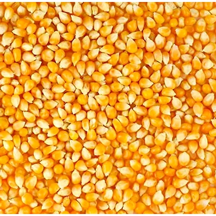 Maize-4