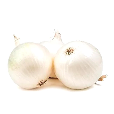 Garlic-1