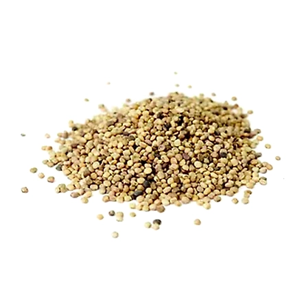 Guar seed-1