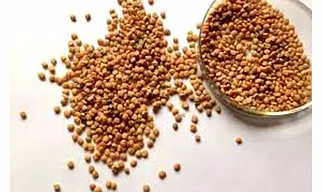 Guar seed