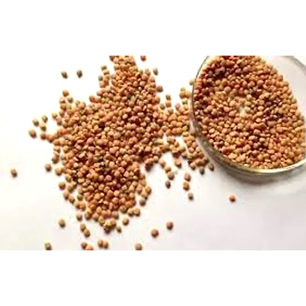 Guar seed-12139520