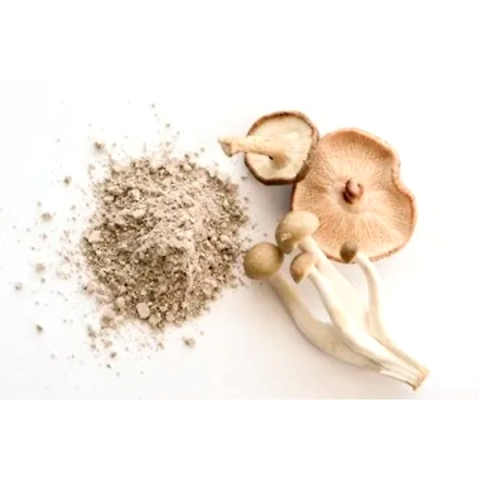 Mushroom Extract-12139516