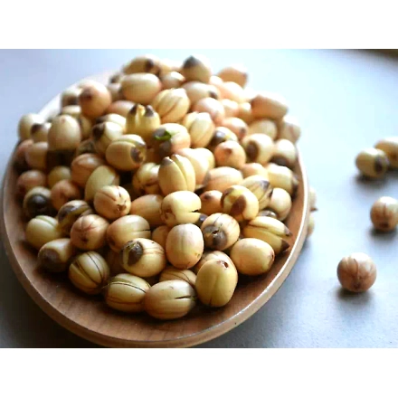 Fox nut-12139558