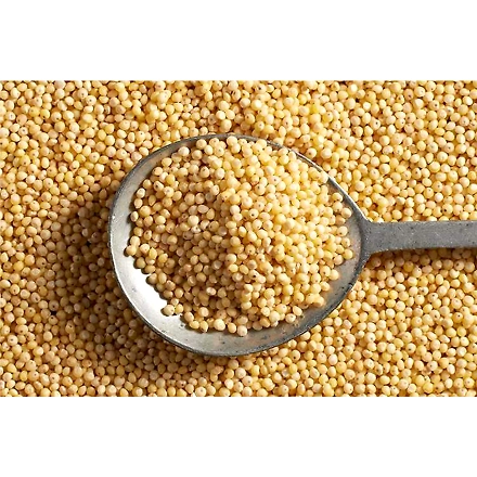 Kodo Millet-1