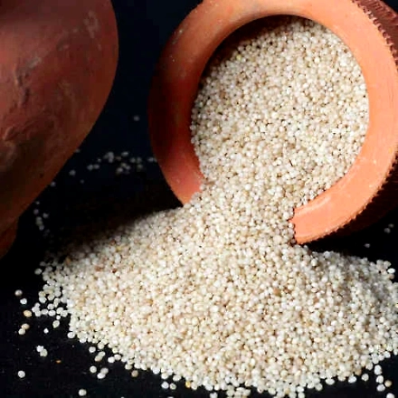 Little Millets-1