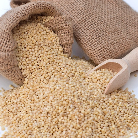 Proso Millet/ White Millet-1