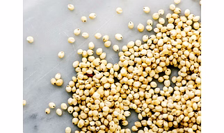 Sorghum millets