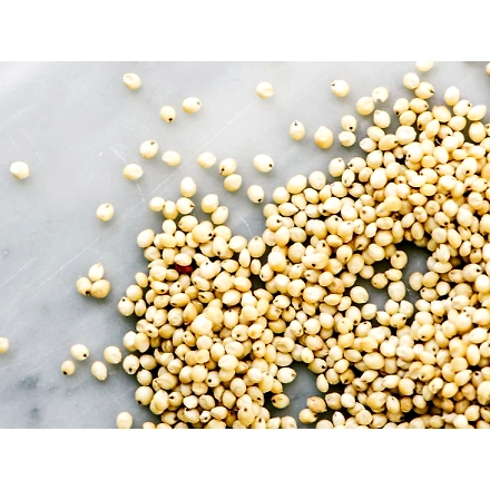 Sorghum millets-1