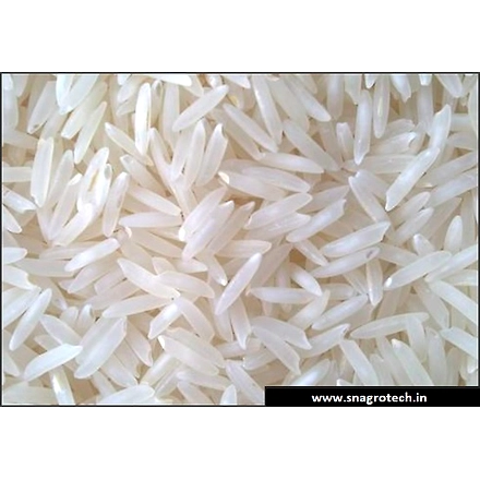 1121 Raw Basmati Rice-3
