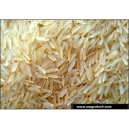 Basmati Rice-12143352