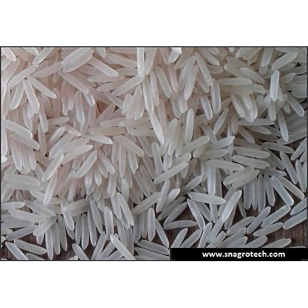 1509 Basmati Rice-3