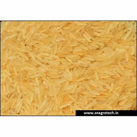 1121 Golden Sella Basmati Rice-3