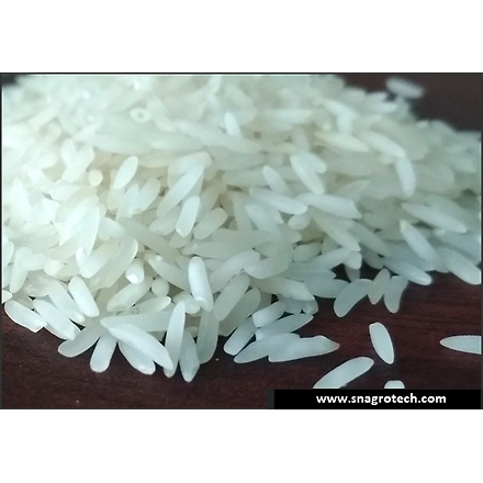 Sharbati Raw Basmati Rice-3