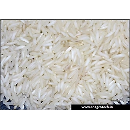 Raw-Non Basmati rice