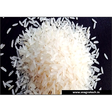 White Sella Non Basmati Rice-3