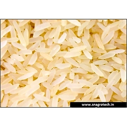 Golden Sella Basmati Rice