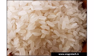 Parboiled Rice