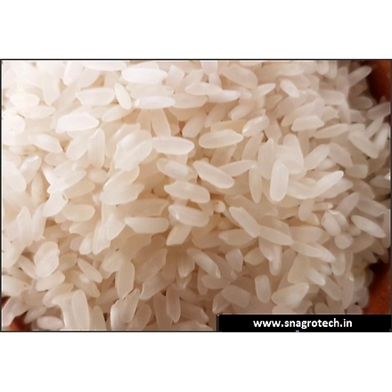 Parboiled Rice-12146814
