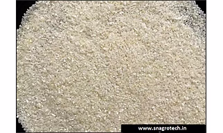 Broken Rice