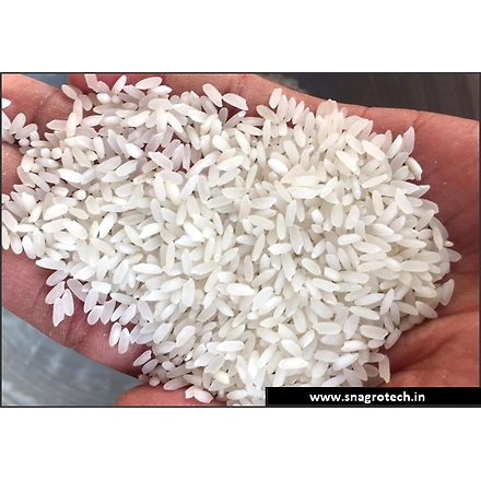 Swarna Raw Rice-12146818