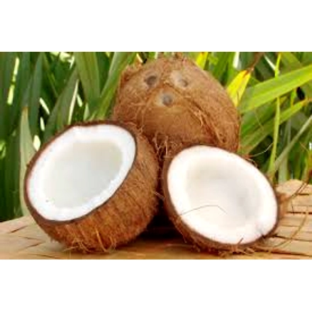 Semi-Husked Coconut-3