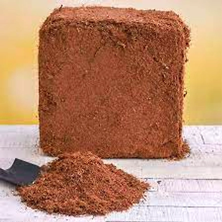 Coco Peat-12146834