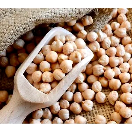 Garbanzo Beans (Kabuli Chana)-12146842
