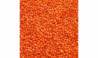 Red Lentil (Masoor Dal)