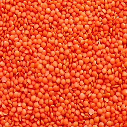 Red Lentil (Masoor Dal)-1